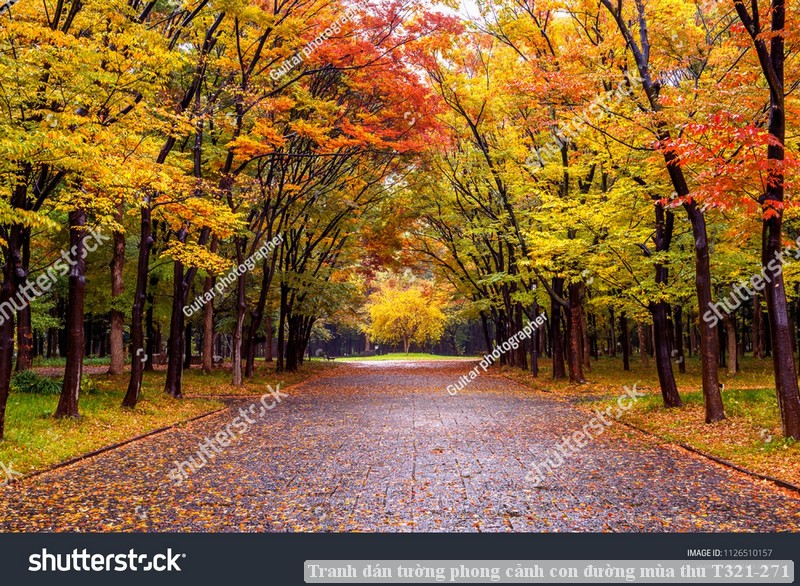 Tranh dán tường phong cảnh con đường mùa thu T321-271